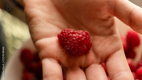 Human hand holding a fresh red raspberry on an open palm over a white bowl filled with ripe berries.