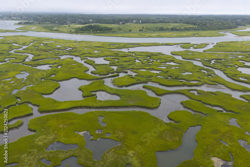 Narrow channels meander through an extensive salt marsh in Pleasant Bay, Cape Cod. Marshes provide critical habitat for many birds, fish, and marine invertebrates to feed, mate, and nest.