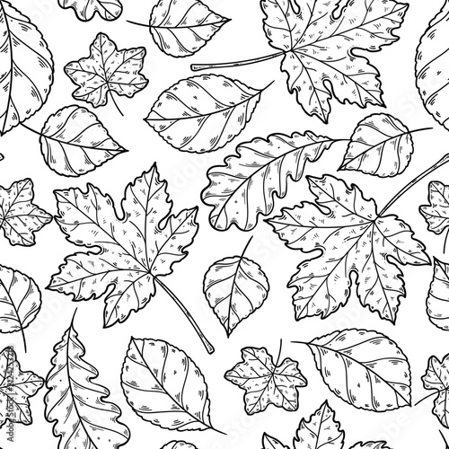 Seamless pattern with black and white autumn leaves on white background. Hand drawn vintage engraving style vector illustration.