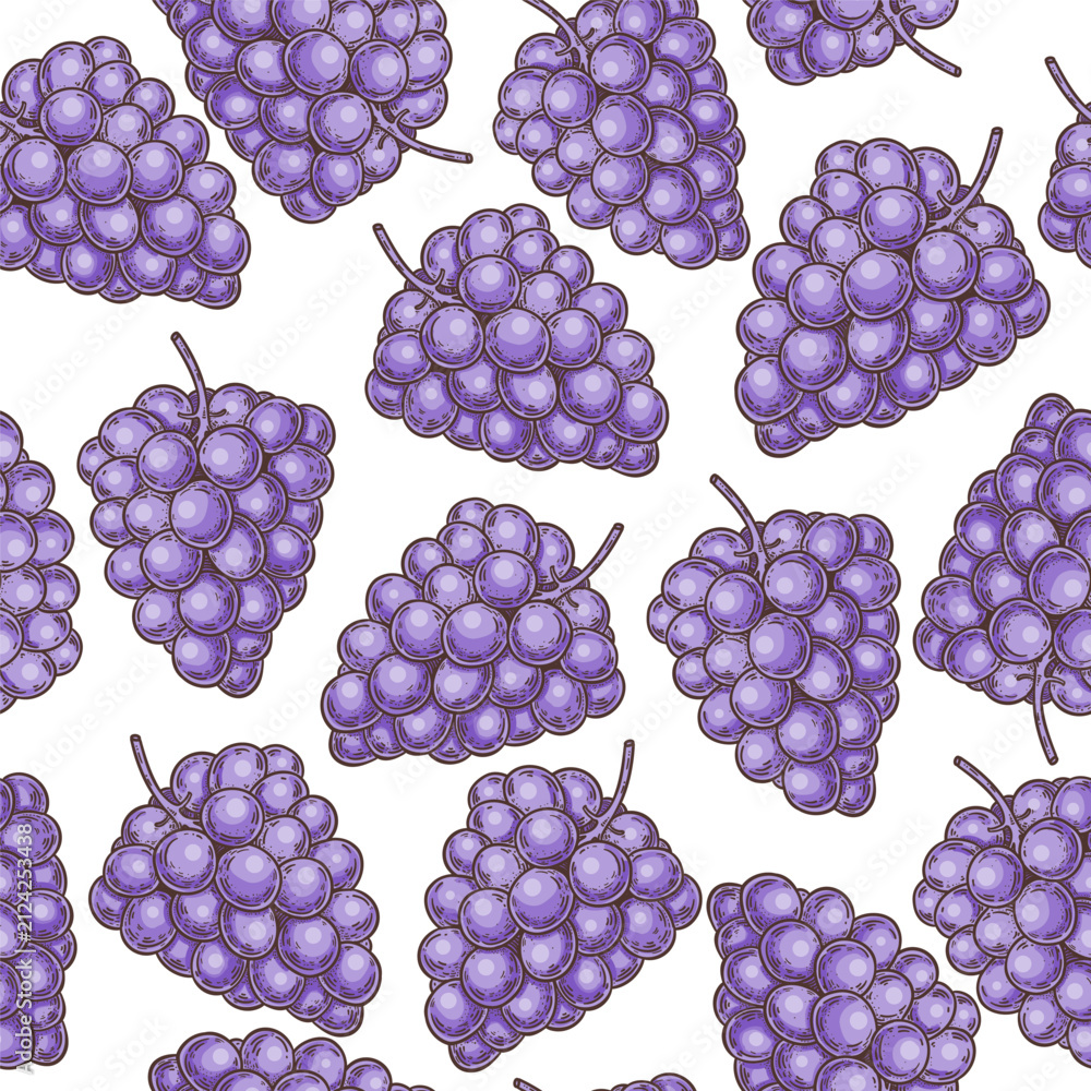 Obraz premium Seamless pattern with purple grape bunches on white background. Hand drawn vector illustration.