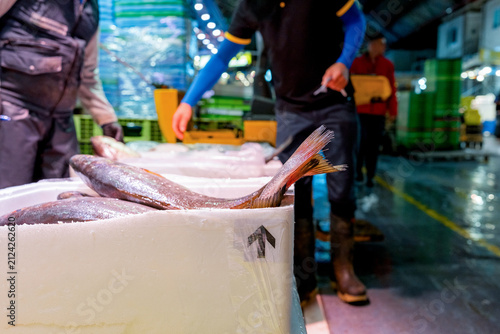 Fishmonger arrange fresh fish on ice at market stall