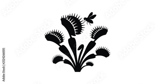 Venus Flytrap Silhouette With Insect Black And White Graphic