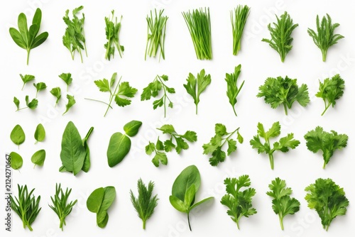 Fresh green herbs like parsley, chives, and rosemary arranged on white background