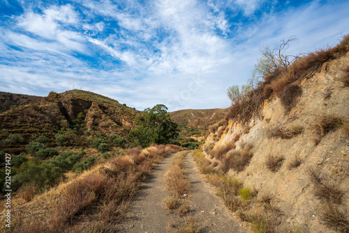 Trail Through a Rugged Semi‑Desert Valley
