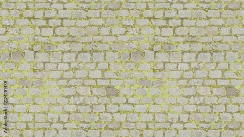 Weathered grey paving stones and green moss form a seamless loop.