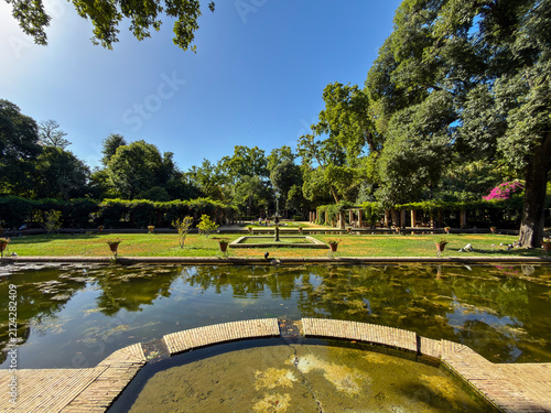 Panoramic View of the Lotus Pond in Maria Luisa Park