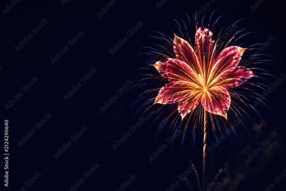 Fototapeta premium Flower shaped fireworks burst against a dark night sky. Space for text.
