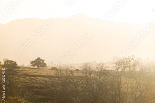 Golden dawn over the veld of the Mlilwane Wildlife Sanctuary, Eswatini.