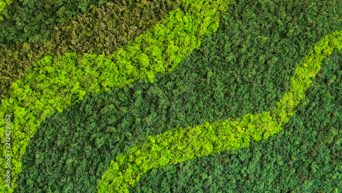 Natural preserved moss wall texture in multiple green shades. Organic biophilic background with decorative stabilized moss for modern interior design.