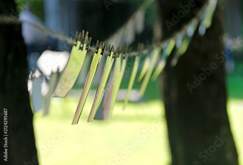 Photos hung up on a line at a wedding