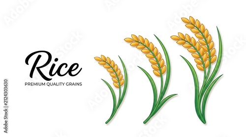 Three golden rice stalks with green leaves vector illustration alongside 