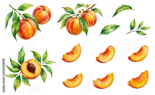 Watercolor peach collection on transparent background. Set of fresh ripe fruit, slices, leaf and blossom for summer menu design, farm market poster, healthy food or drink print.