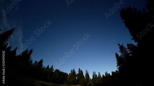 Night sky timelapse with moon lit blue sky and stars moving and a silhouette forest park foreground
