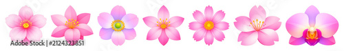 PNG Vibrant pink floral illustration on transparent background