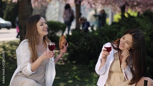 Wine Picnic, Female Friends, Wine Ladies. Couple of female companions are having picnic, sipping red wine.