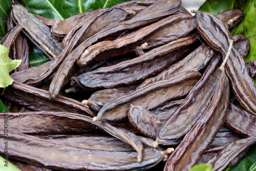 Canvastavla Dried brown pods if carob tree, carubba in italian,  Caesalpinioideae subfamily