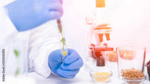Scientist wears blue gloves and a white lab coat. They hold a test tube with green plant material. Microscope and glass jars sit nearby. One jar contains grains, another holds yellow substance