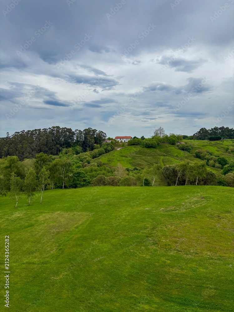 Obraz premium golf course in the morning