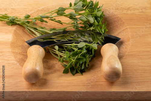 Картината върху платно Fresh homegrown basil on a cutting board with a roundet blade and to wooden handles to be chopped for healthy eating
