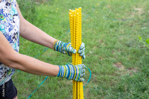 A woman in protective gloves installs a yellow support beside vegetable plants in a sunny garden. Seasonal gardening, backyard crop care, horticultural work.