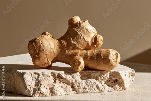 Knobby ginger root resting on a travertine rock under morning shadows