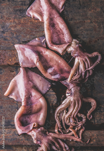 Fresh raw seafood squid or calamary and ingredients on dark background.