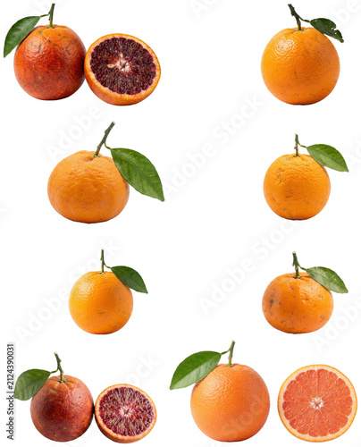 Fotografie A studio collection of assorted oranges and related citrus varieties, including whole fruits, cut halves, and small kumquats on white