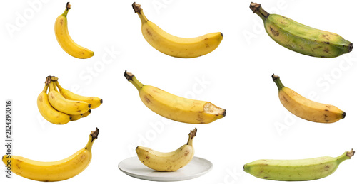 Bild auf Leinwand A collection of banana varieties and cultivars shown as isolated fresh fruit on a white background