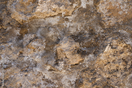 Weathered Limestone Rock Texture Background with Natural Stone Surface and Earth Tone Pattern