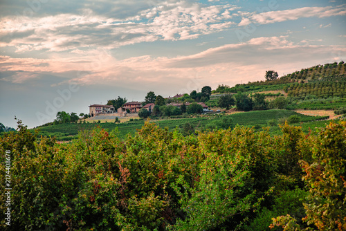 Langhe Vineyards at Sunset in Piedmont