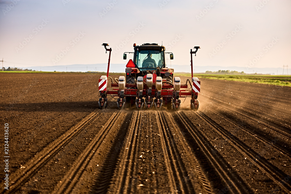 Obraz premium Farmer seeding field with tractor, preparing soil for new crop season
