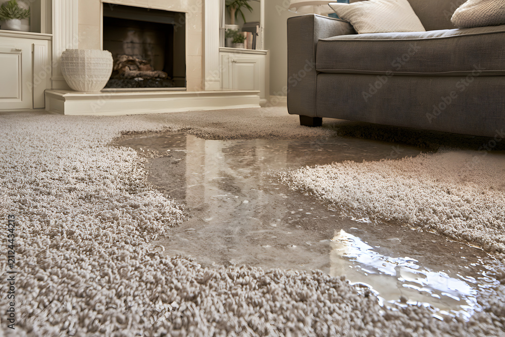 Obraz premium Living room carpet dampened by water damage near the fireplace