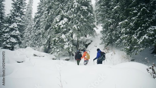 Hikers trek through snowy forest path using poles in winter adventure