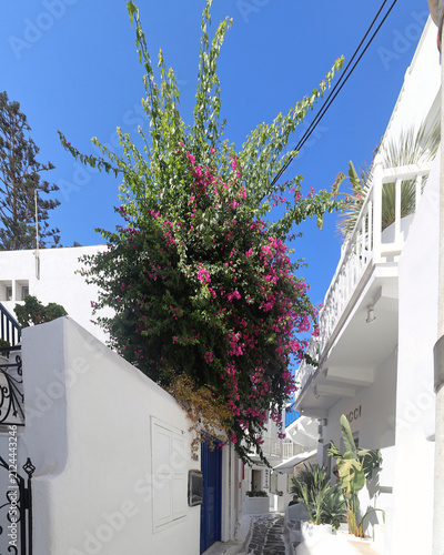 Charm of narrow streets of Greek island Mykenos