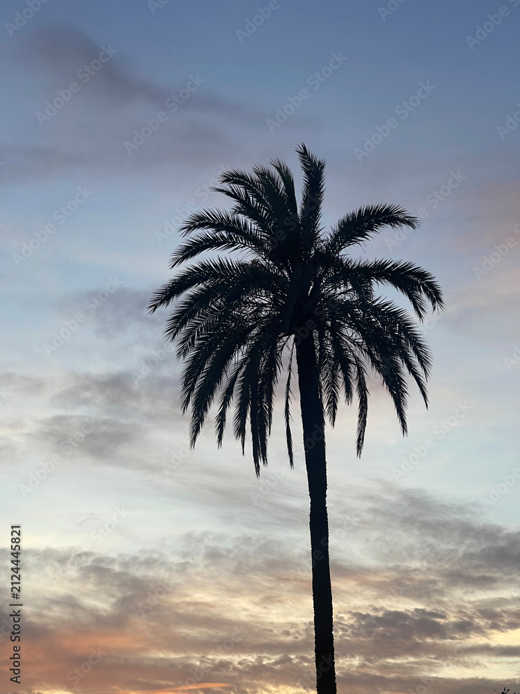 Obraz premium tropical palm tree's silhouette with beautiful sunset and clouds on the background