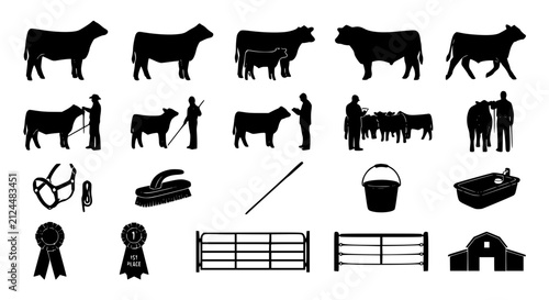 Premium cattle show silhouette vector bundle with show steers heifers farmers and ranch livestock graphics
