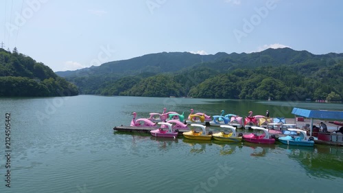 Swan Boat Floating on Lake Sagami in Summer