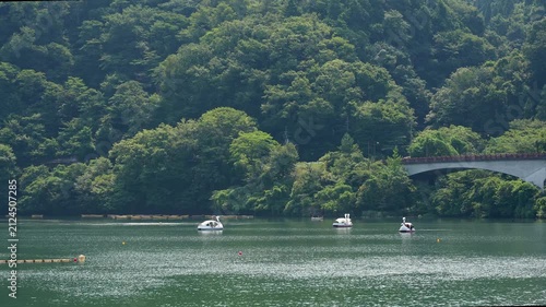 Scenic Summer View of Lake Tsukui in Japan