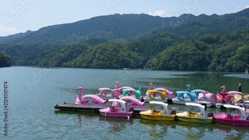 Swan Boat Floating on Lake Sagami in Summer