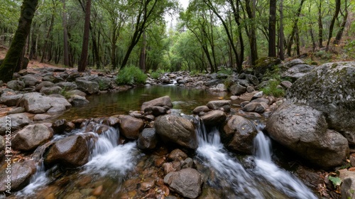 Serene River Flowing Through Forest with Lush Greenery and Smooth Rocks in a Calm Natural Landscape