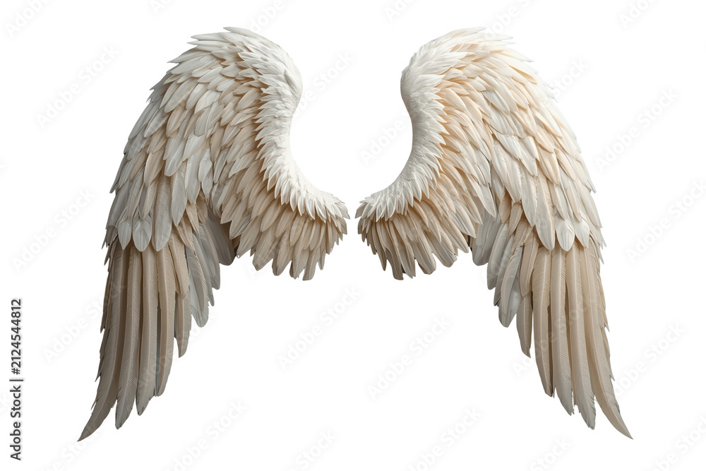 Obraz premium Compact white feathered angel wings with curled tips
