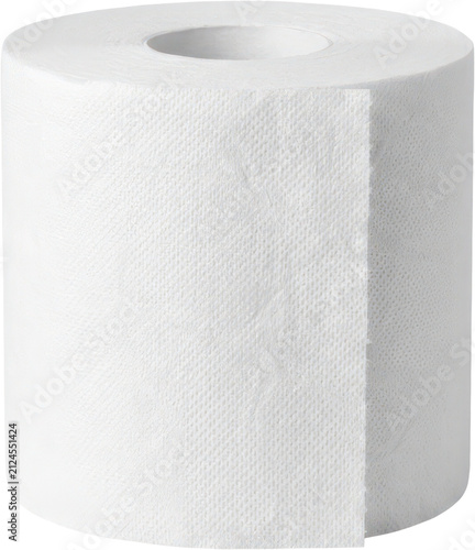 Quadro su tela Single roll of soft white toilet paper