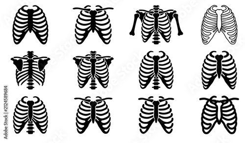 фотографія Human Rib Cage Silhouette Vector Collection with Anatomical Thoracic Skeleton Me