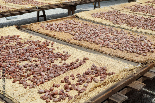 Cuadro en lienzo Umeboshi drying trays in diagonal rows under sunlight