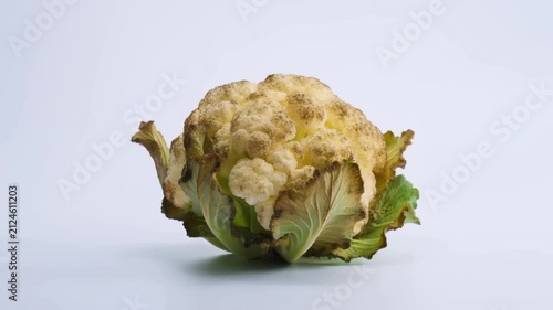 Time-Lapse of Cauliflower Spoiling and Rotting on White Background