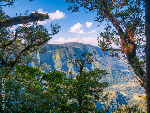 View of Mountain Through Trees