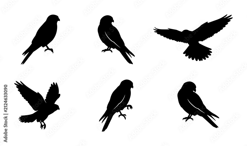 Naklejka premium Bird Silhouettes Collection: Majestic Raptors in Flight and Perched, Vector Icons for Nature and Wildlife