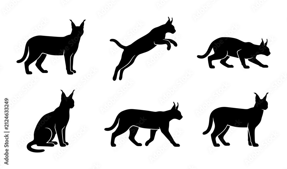 Obraz premium Caracal Silhouettes, Wild Cat Poses, African Lynx Vector Icons, Feline Animal Graphics
