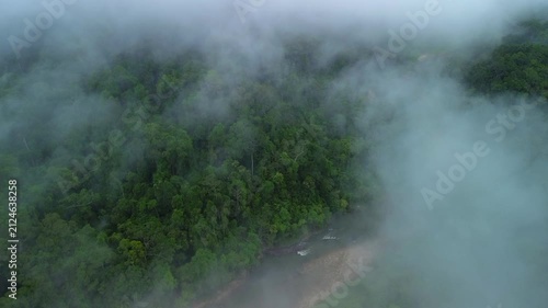 Drone flyover above primary tropical rainforest and Sungai Tembeling emerging through morning mist, Al-Sultan Abdullah Royal Tiger Reserve, Pahang, Malaysia