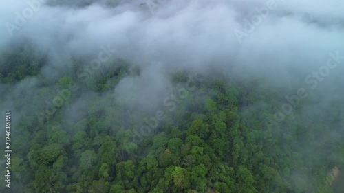 Drone pull-away rising above sea of clouds over primary tropical rainforest revealing mist-covered hills near Sungai Tembeling, Al-Sultan Abdullah Royal Tiger Reserve, Pahang, Malaysia